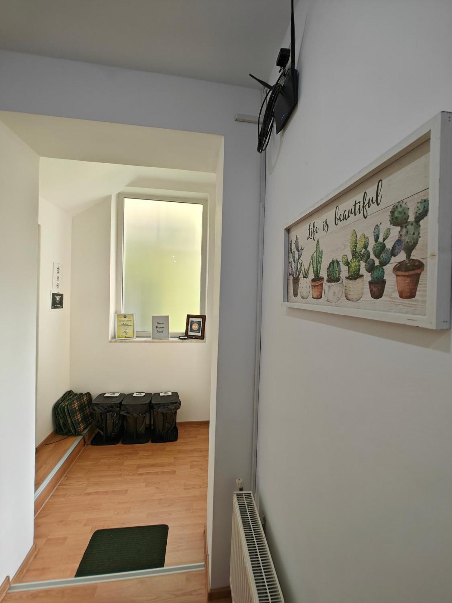 Transsylvanian Wolves Apartment Sibiu Buitenkant foto