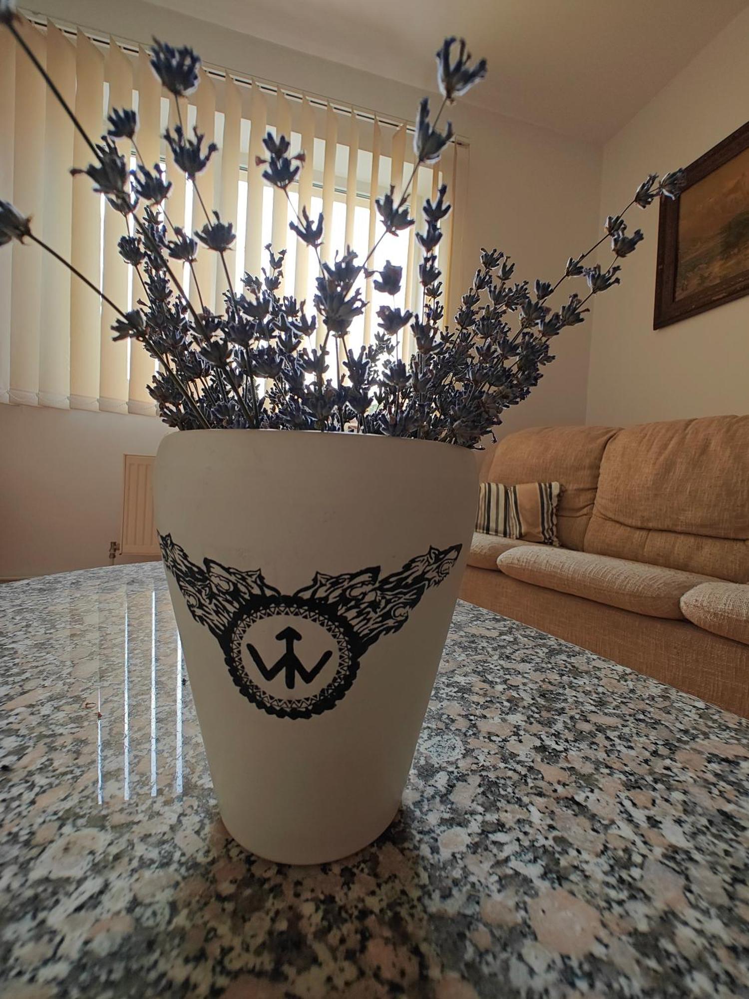 Transsylvanian Wolves Apartment Sibiu Buitenkant foto