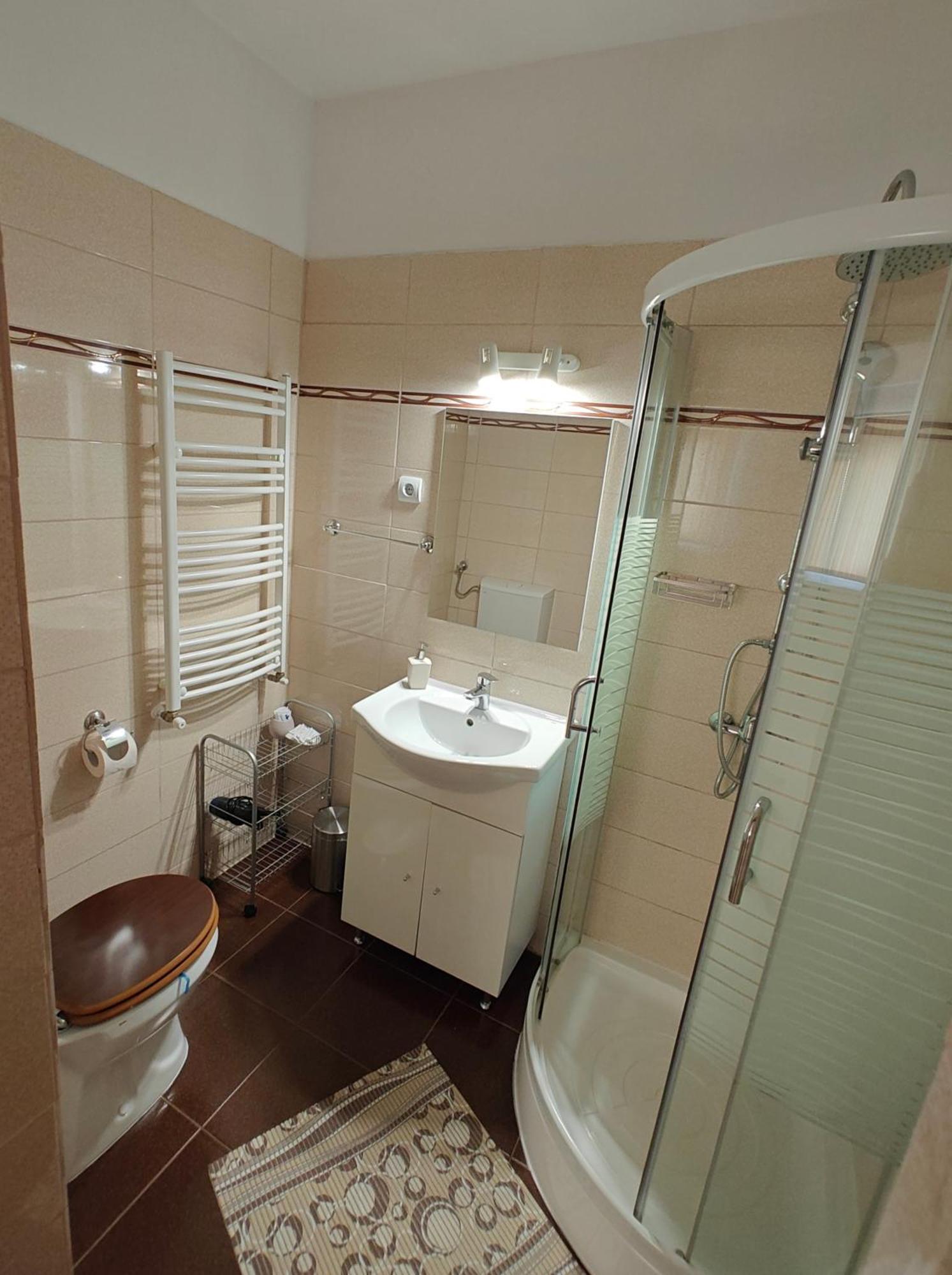 Transsylvanian Wolves Apartment Sibiu Buitenkant foto